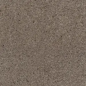 SmartStrand - 0431 LEHM 5-Meter Breit Teppichboden