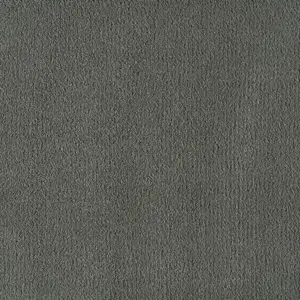 Pleasure - 0830 ASH 4-Meter Breit Teppichboden