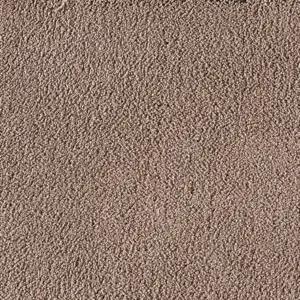 X Wohnen - 0420 BIBER 4-Meter Breit Teppichboden