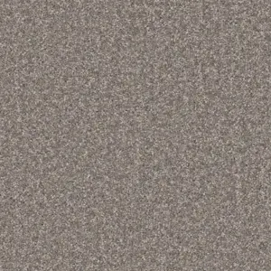 Pilotis - 840 MAUSGRAU 4-Meter Breit Teppichboden