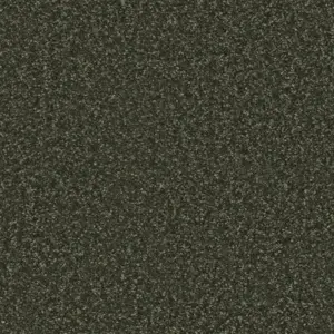 Pilotis - 590 MOOS 4-Meter Breit Teppichboden