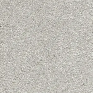 Suspense, Sensualite - 95 5-Meter Breit Teppichboden