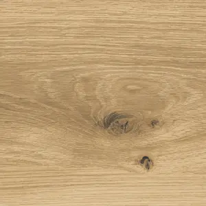 Vinylan, Vinylan object HDF - Traubeneiche Vinyl-Laminat (HDF-Träger)