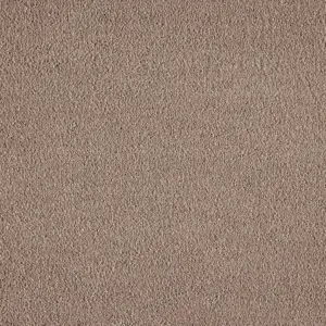 X Wohnen - 0260 BEIGE 4-Meter Breit Teppichboden