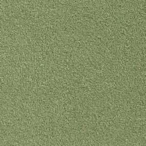 Pilotis - 520 FERN 4-Meter Breit Teppichboden