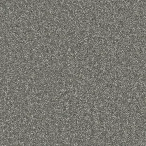 Pilotis - 830 GRAU 4-Meter Breit Teppichboden