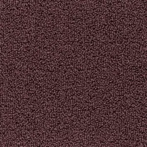 Pride - 66 5-Meter Breit Teppichboden