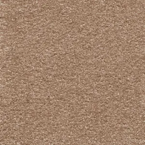 Victory - 82 5-Meter Breit Teppichboden