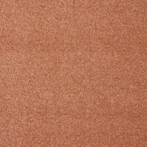 Satisfaction, Sensualite - 82 5-Meter Breit Teppichboden