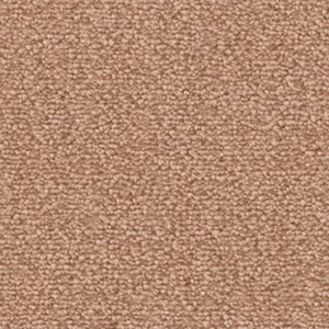 Fascination, Lyrica - 1P94 5-Meter Breit Teppichboden