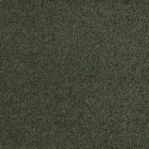 Patina - 0590 MOOS 5-Meter Breit Teppichboden