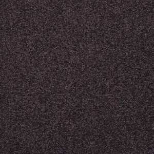 X Wohnen - 0810 ASTRRAKAN 5-Meter Breit Teppichboden