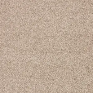 Seduction, Sensualite - 49 5-Meter Breit Teppichboden