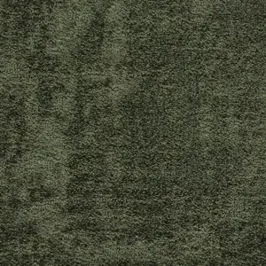 Basalt Art X - 0590 MOSS 4-Meter Breit Teppichboden