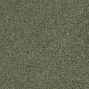 SmartStrand - 0610 EFEU 4-Meter Breit Teppichboden
