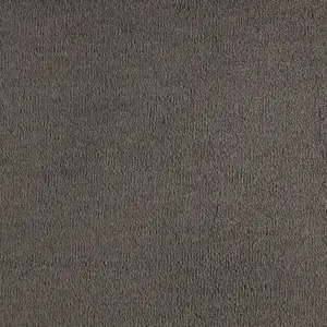 SmartStrand - 0810 CHARCOAL 4-Meter Breit Teppichboden