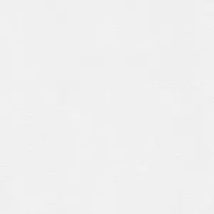 Black & White - Vliestapete