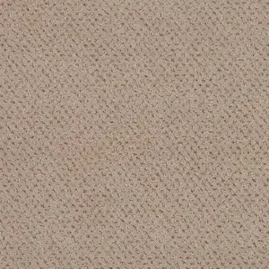 Pilotis - 462 HEMP 4-Meter Breit Teppichboden