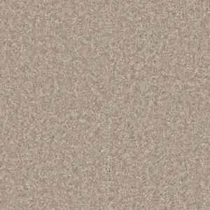 Pilotis - 430 LEHM 4-Meter Breit Teppichboden