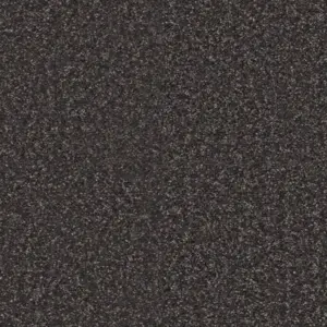 Pilotis - 810 ASTRRAKAN 4-Meter Breit Teppichboden