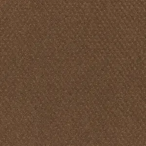 Pilotis - 261 CAMEL 4-Meter Breit Teppichboden