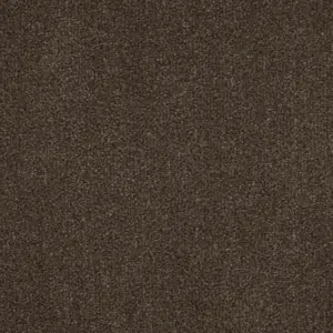 Zen - 49 4-Meter Breit Teppichboden