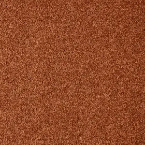 Nile, Gaia - 82 5-Meter Breit Teppichboden