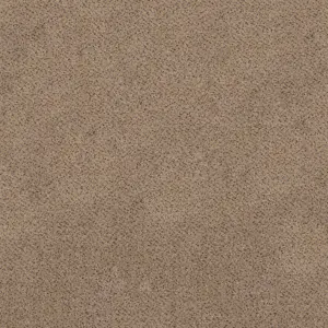 Magma, Maverick Wall to Wall - 49 4-Meter Breit Teppichboden