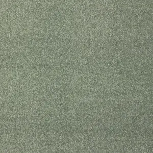 Satisfaction, Sensualite - 23 5-Meter Breit Teppichboden