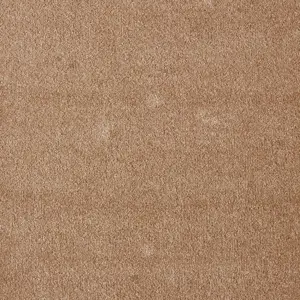 Seduction, Sensualite - 41 4-Meter Breit Teppichboden