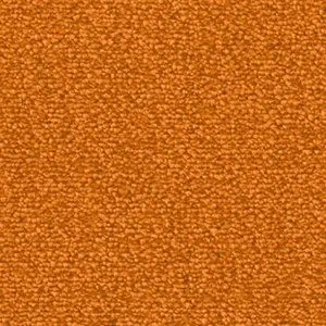 Fascination, Lyrica - 1P95 5-Meter Breit Teppichboden