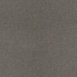 SmartStrand - 0831 GRAU 4-Meter Breit Teppichboden