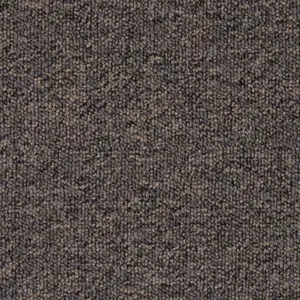 Pilotis - 810 CHARCOAL 5-Meter Breit Teppichboden