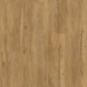 Cortica Design-Korkboden HDF - Kaukasus Fichte  Korkboden zum Klicken