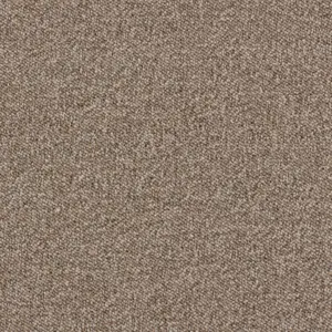 Maxima, Maverick Wall to Wall - 37 4-Meter Breit Teppichboden