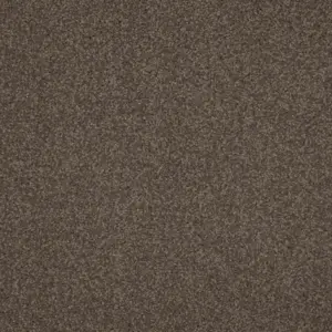 Miracle, Maverick Wall to Wall - 49 4-Meter Breit Teppichboden