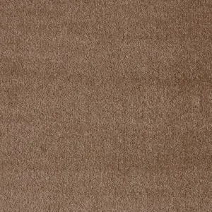 Seduction, Sensualite - 46 5-Meter Breit Teppichboden