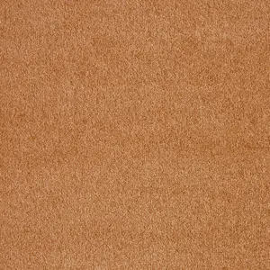 Seduction, Sensualite - 80 4-Meter Breit Teppichboden