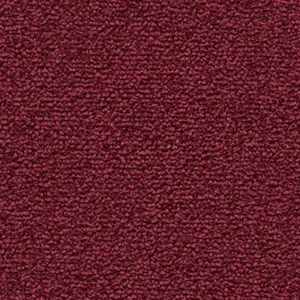 Fascination, Lyrica - 1N41 5-Meter Breit Teppichboden
