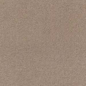 SmartStrand - 0431 LEHM 4-Meter Breit Teppichboden