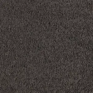 SmartStrand - 0820 SLATE 5-Meter Breit Teppichboden