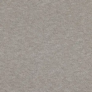 Godiva - 0861 GRANITE 5-Meter Breit Teppichboden