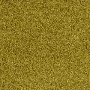 Euphoria - 0540 CURRY 4-Meter Breit Teppichboden