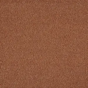 Lano X Wohnen 0310 ROST 5-Meter Breit Teppichboden LBOU.500.0310