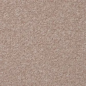 Pilotis - 220 ACORN 4-Meter Breit Teppichboden