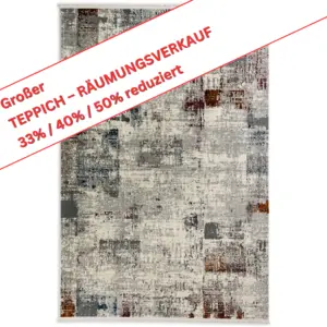 Dinara/6696 ca. 160 x 230 cm - 100% Polyester - Grau/Bunt
