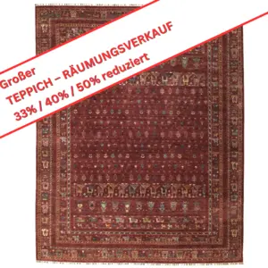 Smaragd ca. 246 x 304cm - Afghanisch Handgeknüpft