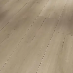 Trendtime 6 - Eiche Loft grau Lebhafte Struktur 4V