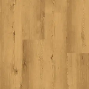 Cortica Design-Korkboden HDF - Eiche Tessin  Korkboden zum Klicken