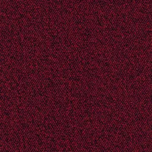 12 5-Meter Breit Teppichboden